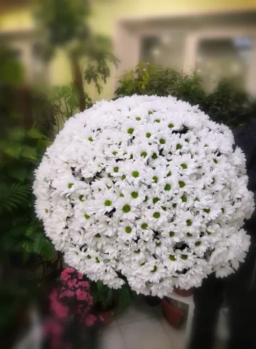 Букет &laquo;Ромашки&raquo; от интернет-магазина цветов в 