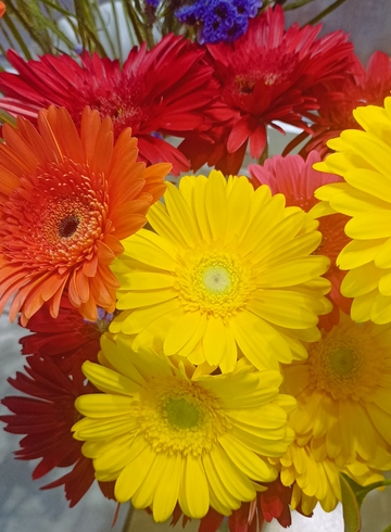 Микс гербер от интернет-магазина цветов в 