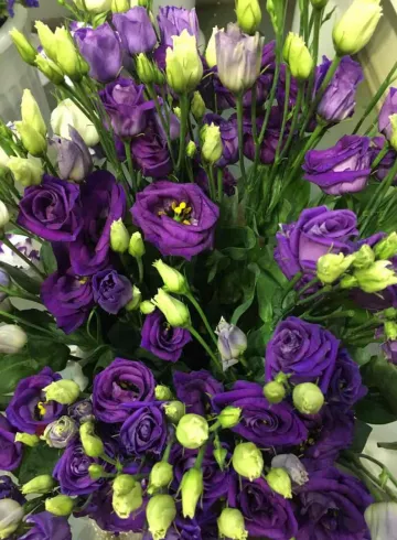 Эустома от интернет-магазина цветов в 