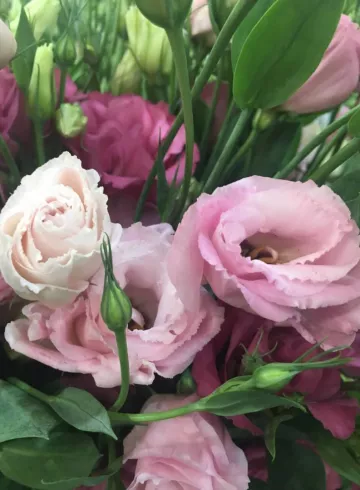 Эустома Розовая от интернет-магазина цветов в 