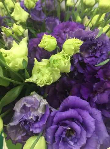 Эустома Фиолетовая от интернет-магазина цветов в 