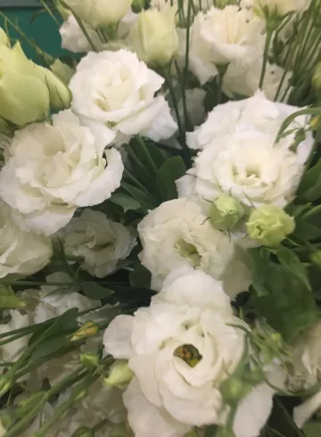 Эустома Белая от интернет-магазина цветов в 