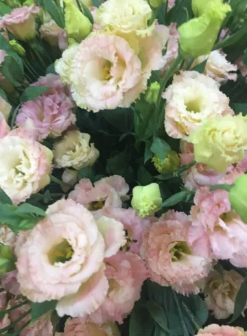 Эустома нежно-розовая от интернет-магазина цветов в 