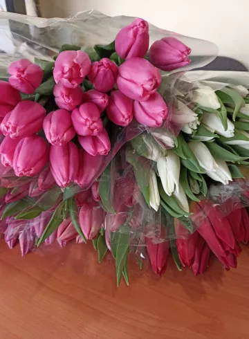 Тюльпаны в ассортименте от интернет-магазина цветов в 