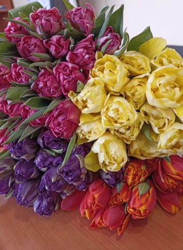 Тюльпаны Пионовидные Ассортимент от интернет-магазина цветов в 