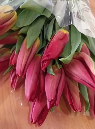 Красные тюльпаны от интернет-магазина цветов в 