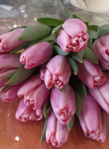 Тюльпан нежно-розовый от интернет-магазина цветов в 