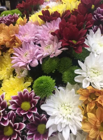 Микс кустовых хризантем от интернет-магазина цветов в 