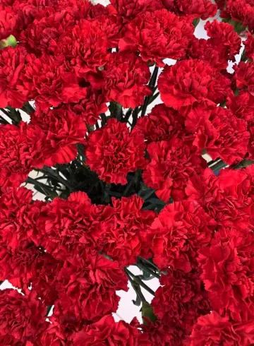 Гвоздика одноголовая красная от интернет-магазина цветов в 