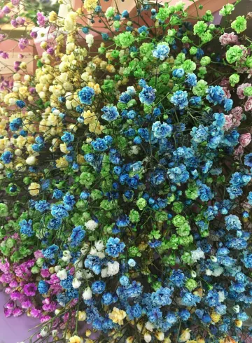 Гипсофила в ассортименте от интернет-магазина цветов в 