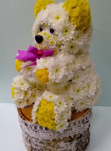 «Мишутка» от интернет-магазина цветов в 