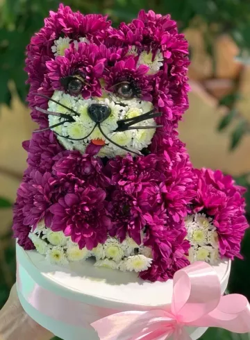 Котик от интернет-магазина цветов в 