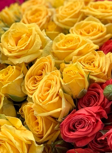 Роза Желтая от интернет-магазина цветов в 