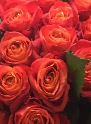 Розы Рыжие от интернет-магазина цветов в 