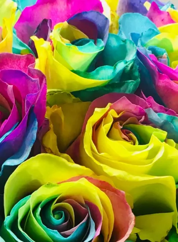 Радужные розы от интернет-магазина цветов в 