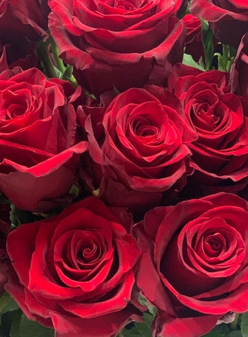 Роза Эквадор красная на высокой ножке от интернет-магазина цветов в 