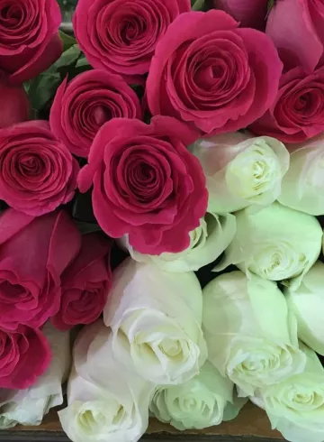 Микс розы от интернет-магазина цветов в 