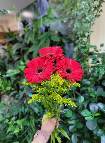 Мини букет «Герберы» от интернет-магазина цветов в 