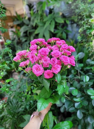 Букет «Кустовая роза» от интернет-магазина цветов в 