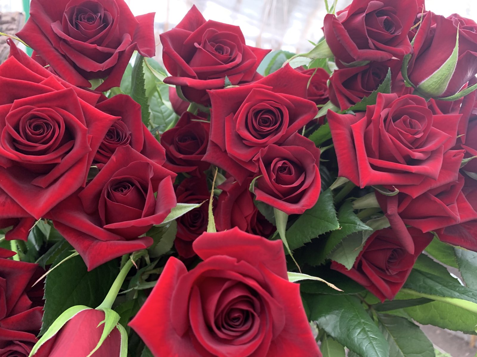 Интернет-магазин «Цветочный»